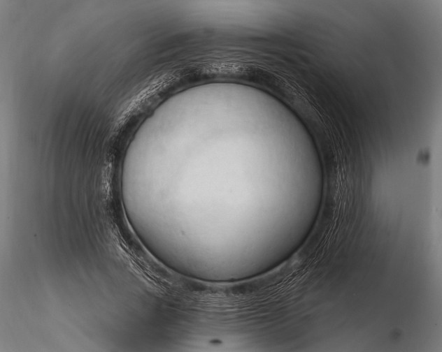 X0000116320735200912151242