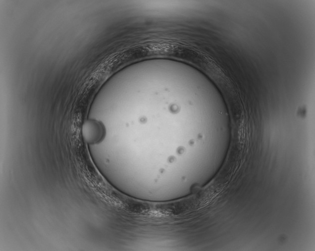 X0000116320737200912151242