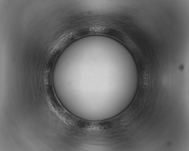 X0000116320738200912151242