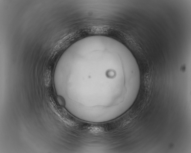 X0000116320741200912151242