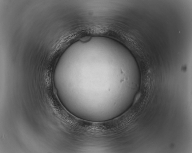 X0000116320743200912151242