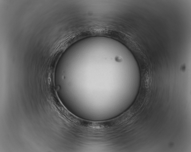 X0000116320746200912151242