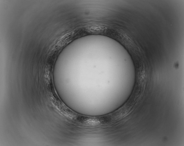 X0000116320749200912151242