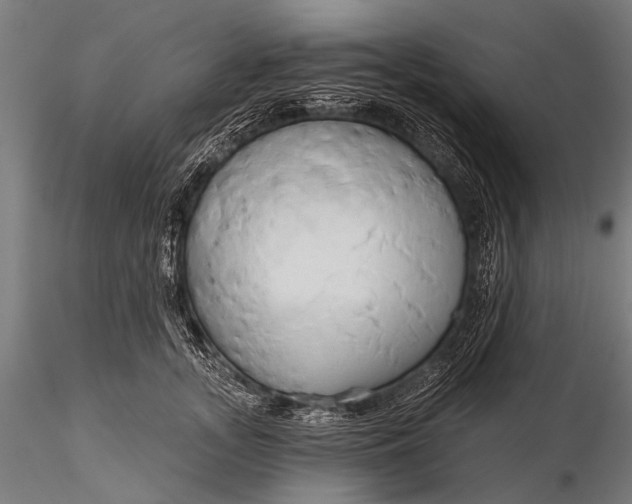 X0000116320755200912151242