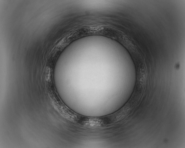 X0000116320758200912151242