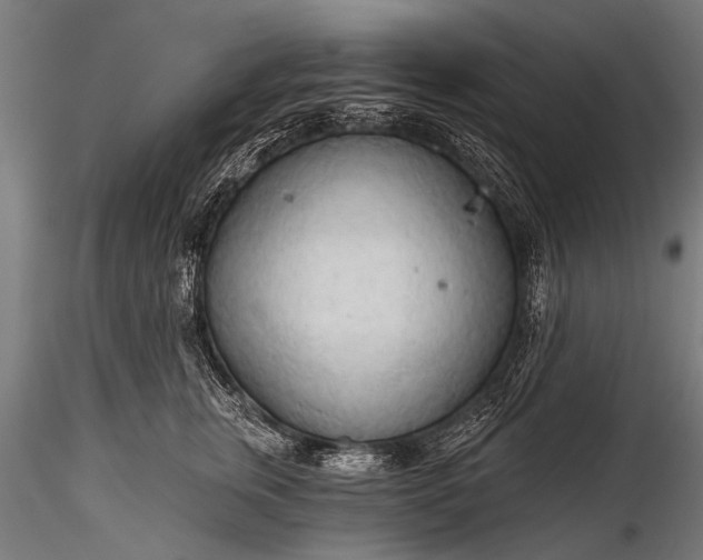 X0000116320759200912151242