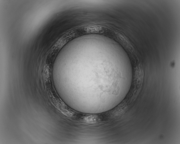 X0000116320761200912151242