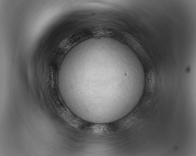 X0000116320762200912151242