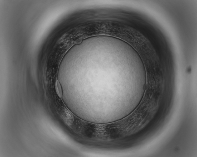 X0000116320766200912151242