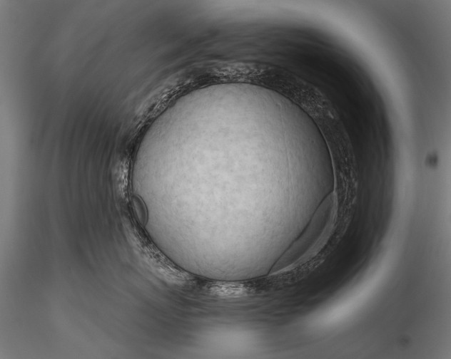 X0000116320767200912151242