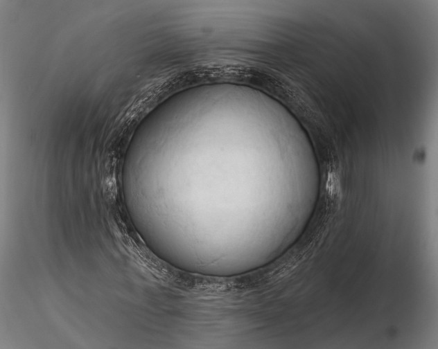 X0000116320771200912151242