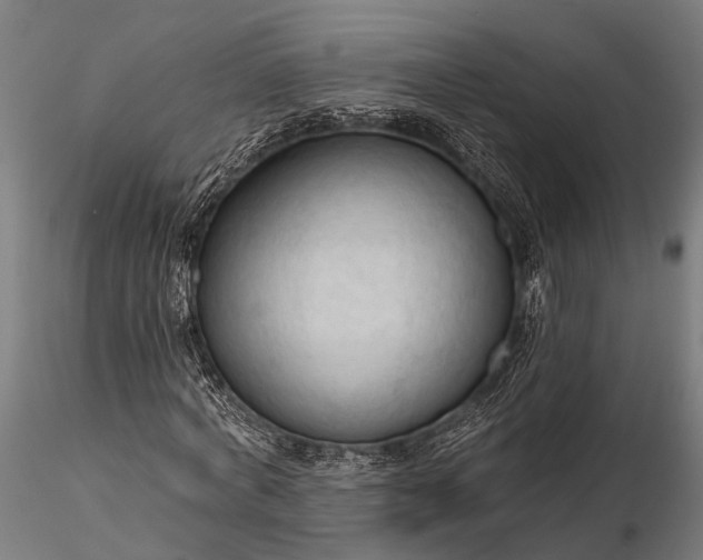 X0000116320772200912151242