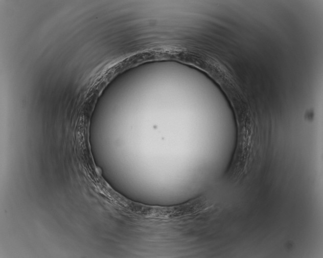 X0000116320773200912151242