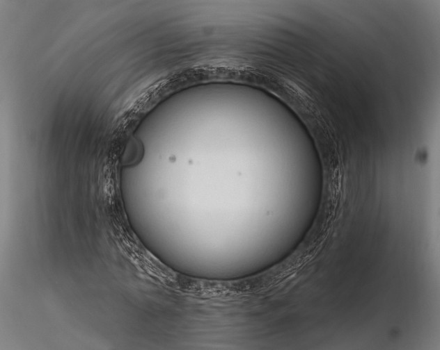 X0000116320774200912151242