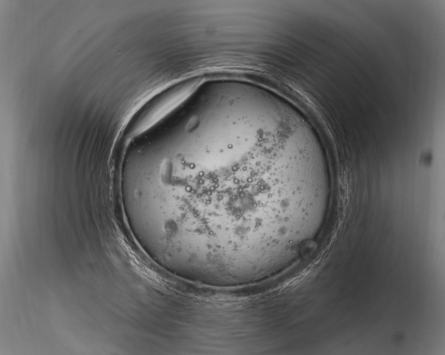 X0000116320779200912151241