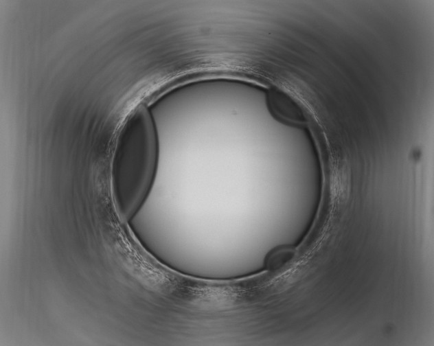 X0000116320781200912151241