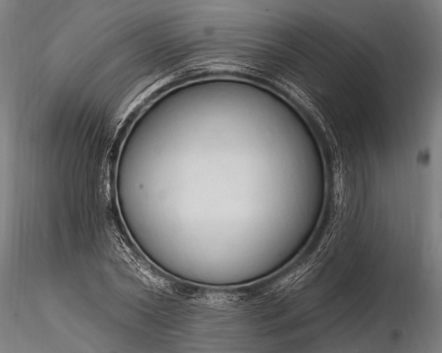 X0000116320782200912151241