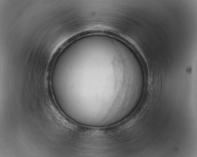 X0000116320783200912151241