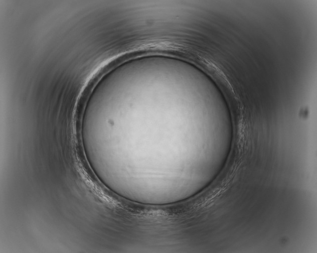 X0000116320784200912151241