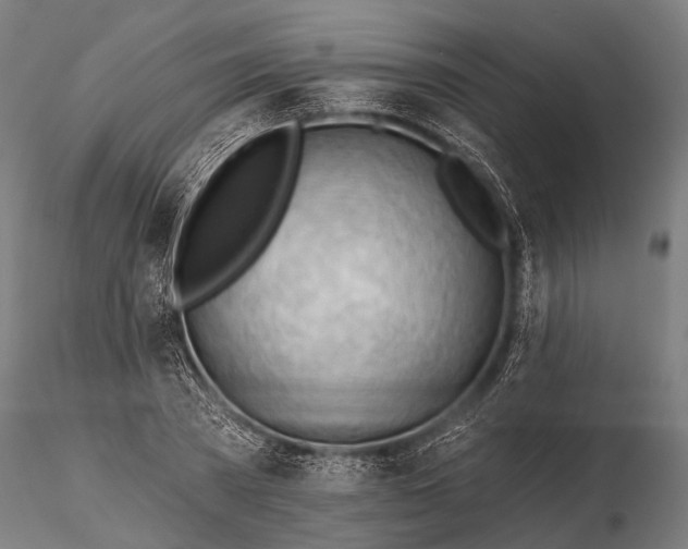 X0000116320785200912151241