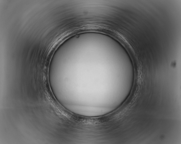 X0000116320786200912151241