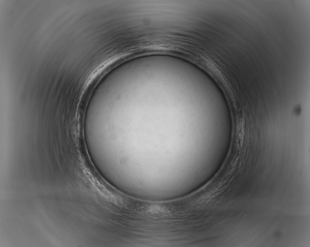 X0000116320787200912151241