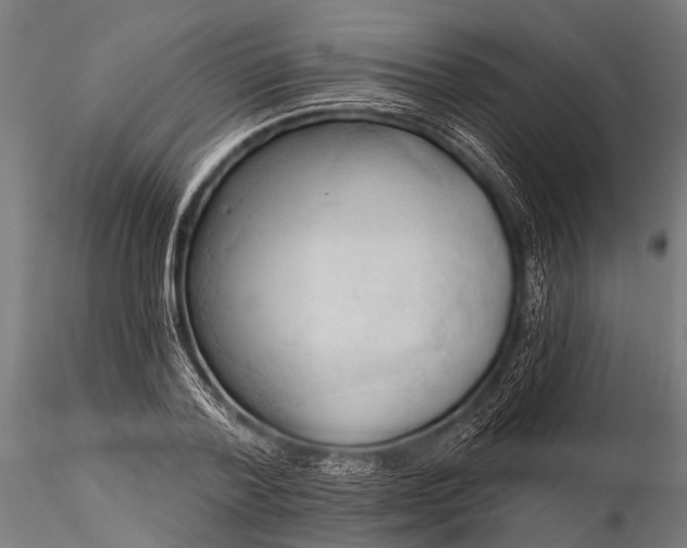 X0000116320788200912151241