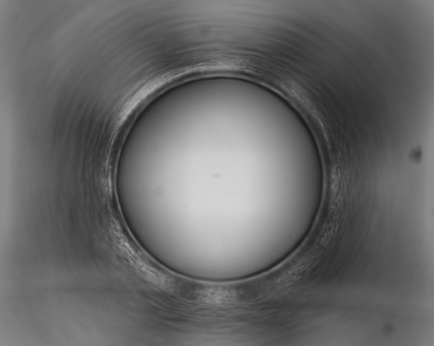 X0000116320789200912151241