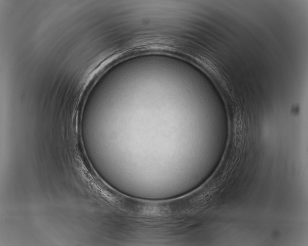 X0000116320790200912151241