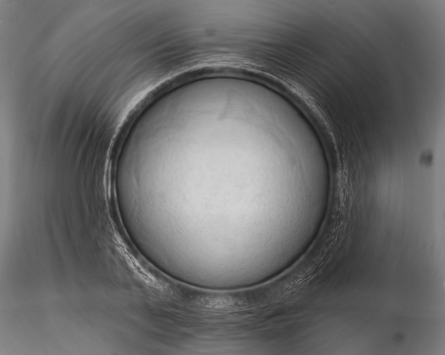 X0000116320791200912151241