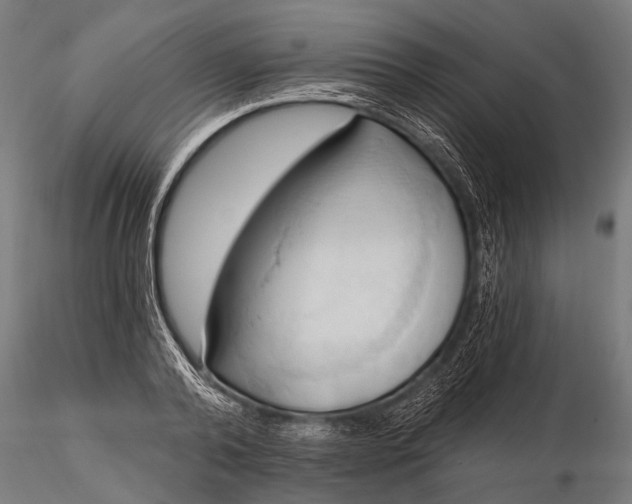 X0000116320792200912151241