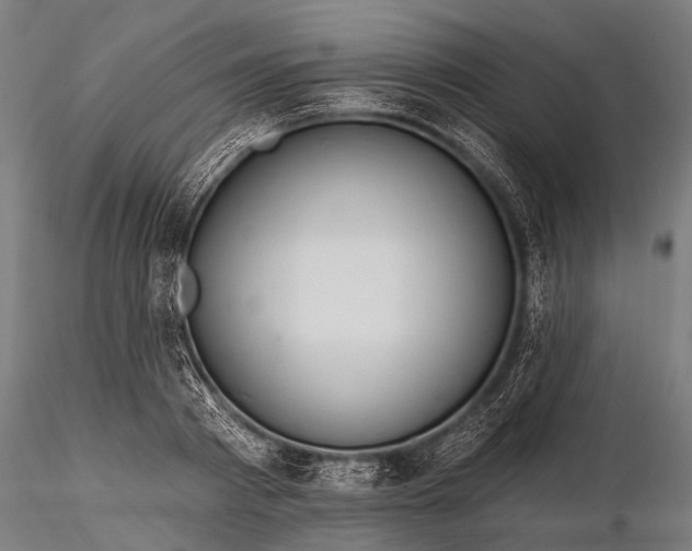 X0000116320793200912151241