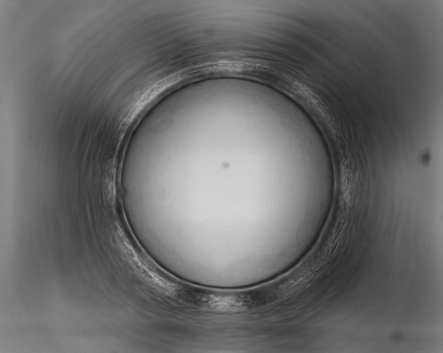 X0000116320794200912151241