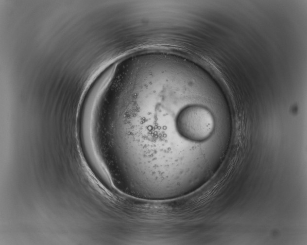 X0000116320795200912151241