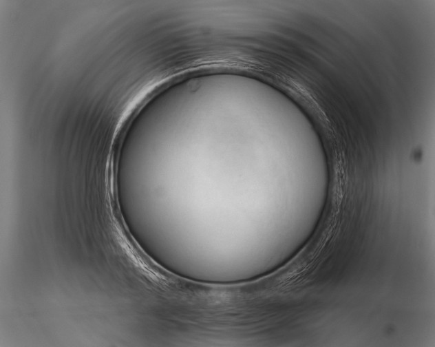 X0000116320796200912151241