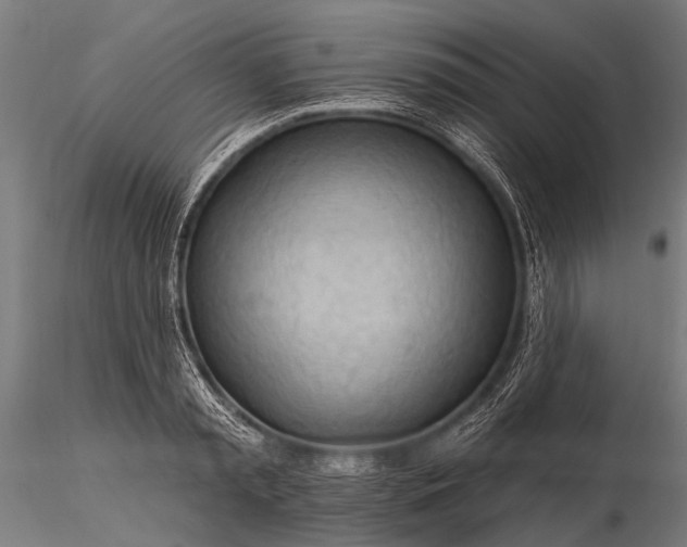 X0000116320797200912151241