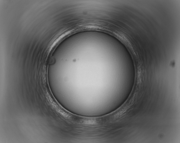 X0000116320798200912151241