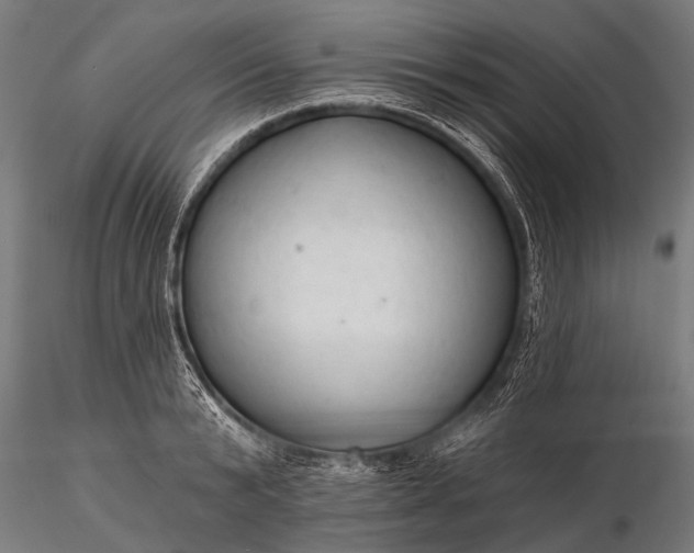 X0000116320799200912151241