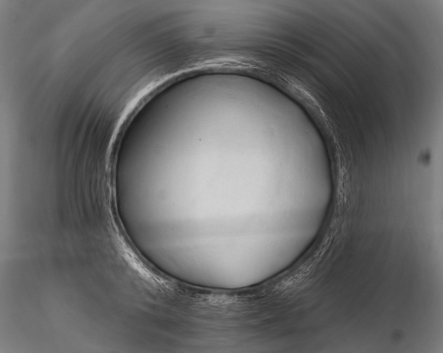 X0000116320800200912151241