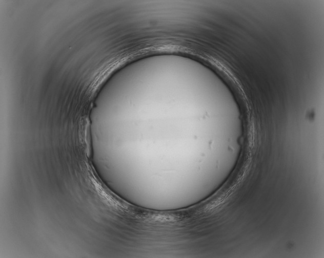 X0000116320801200912151241