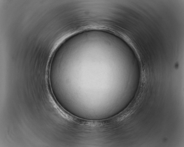 X0000116320803200912151241