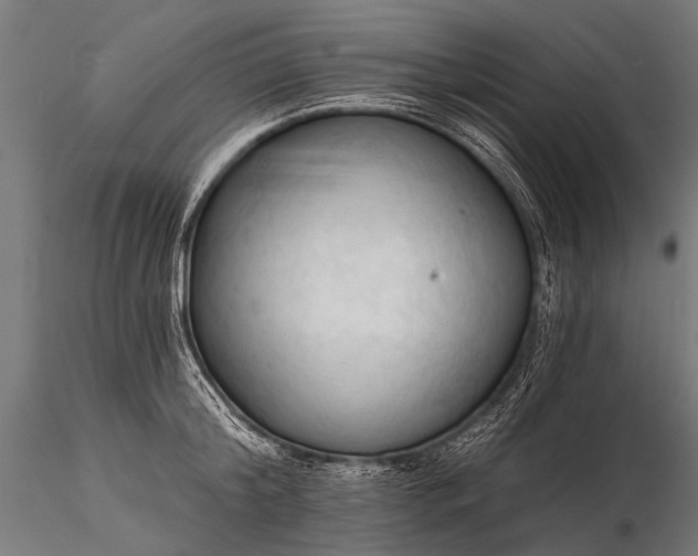 X0000116320804200912151241