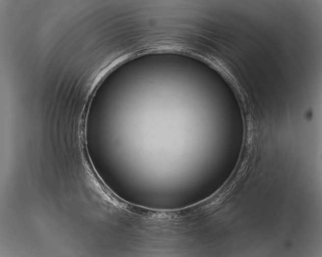 X0000116320806200912151241