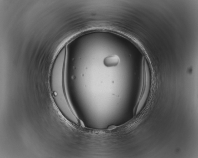 X0000116320807200912151241