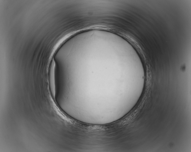 X0000116320808200912151241