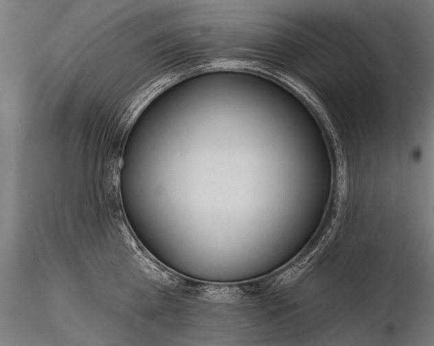 X0000116320809200912151241