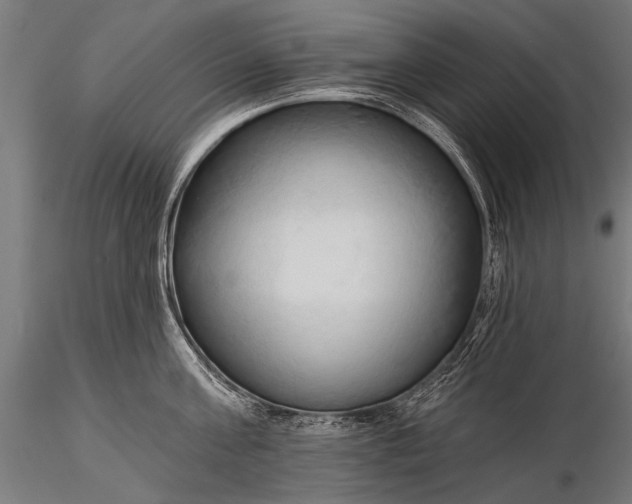 X0000116320811200912151241