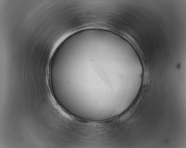 X0000116320812200912151241