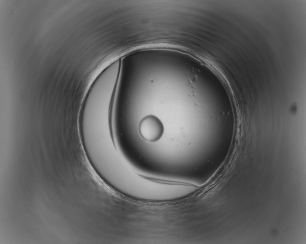 X0000116320813200912151241