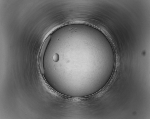 X0000116320814200912151241